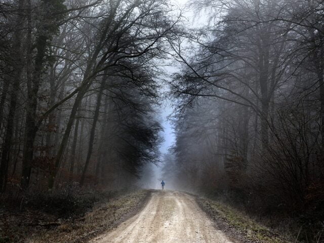 Der Wandel im Coaching: Wie Systemisches Coaching das Traditionelle ablöst